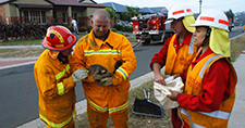 CFA firefighters with Wildlife Rescue