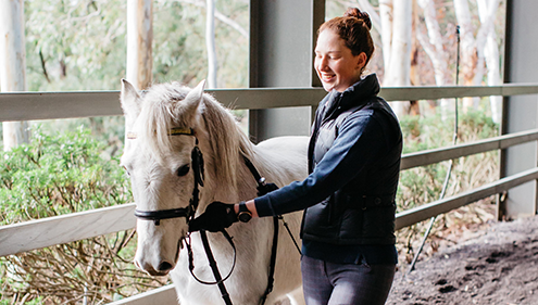 A female VET Equine training a horse